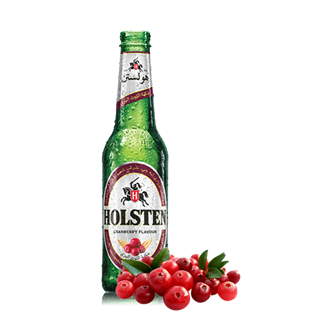 HOLSTEN CRANBERRY 330ML X 24